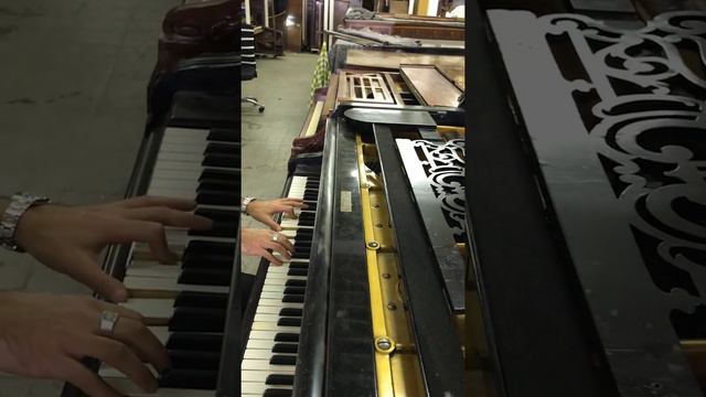 Malakoff Kowalski at Palace Pianos смотреть онлайн