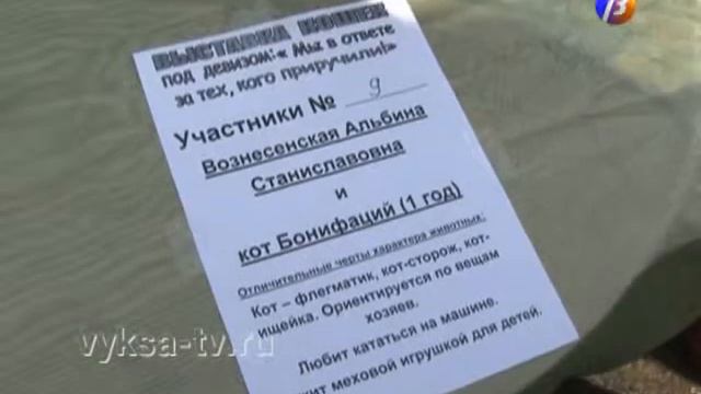 «Мы в ответе за тех, кого приручили!» смотреть онлайн