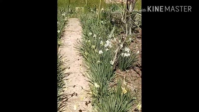 Отдых на природе смотреть онлайн