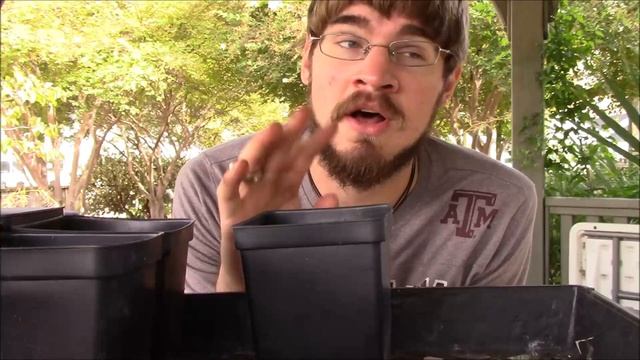 How to Grow Rambutan Trees from Seed (Grocery Store Growing Ep 9) смотреть онлайн