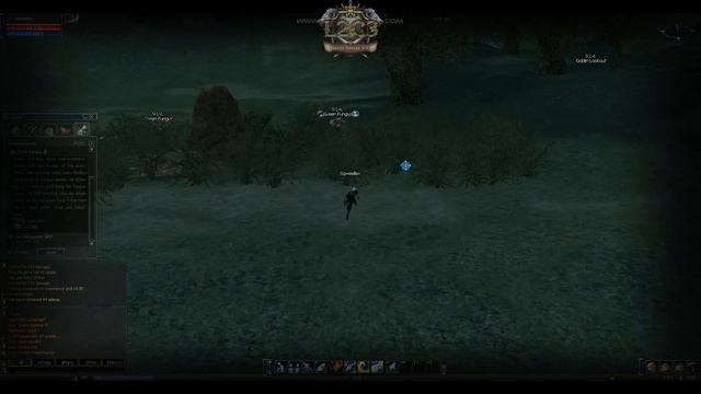 Какой он х0,1 - первый день игры после старта lineage 2 chronicle 3, l2c3.com, смотреть онлайн