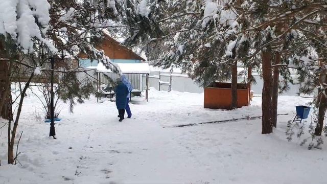 База отдыха Берёзовая роща. смотреть онлайн