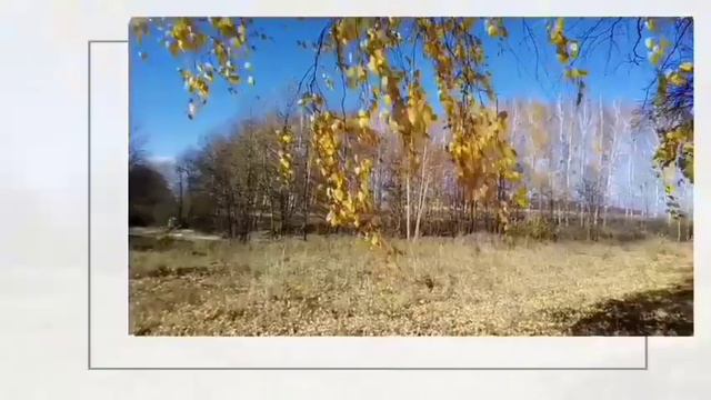 Осенний романс (Вячеслав Селезнёв) смотреть онлайн