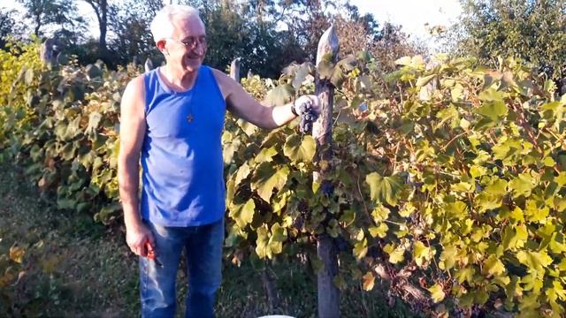 ЖЕНИХ ИЗ СЕРБИИ //САМ ВОСПИТАЛ 2 ДОЧЕК И ПОМОГАЕТ С ВНУЧАТАМИ. смотреть онлайн