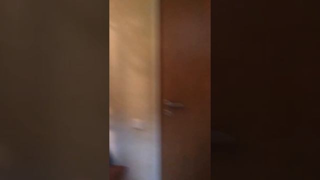 VID 2017 02 20 133230 смотреть онлайн
