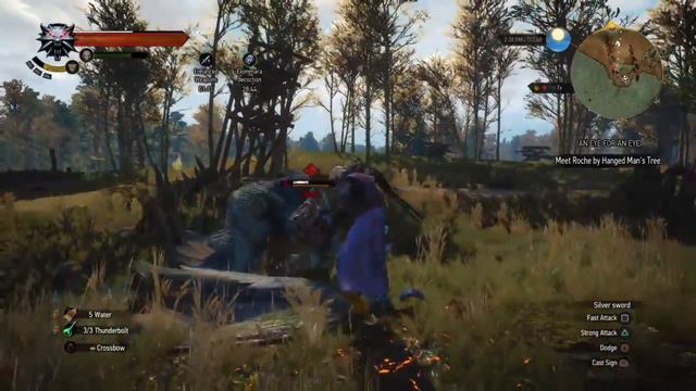 The Witcher 3 level 21 witcher vs lvl 32 Griffin Tretogor Gate смотреть онлайн
