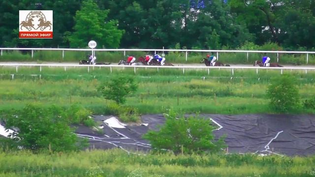 11.06.2023 - Открытый приз на кобылах 3-х лет и старше чистокровной верховой породы - Лу Чарджер смотреть онлайн