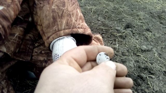 ОСЕННИЙ КОП С ДМИТРИЧЕМ смотреть онлайн