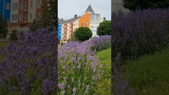 Озеро_Надежды