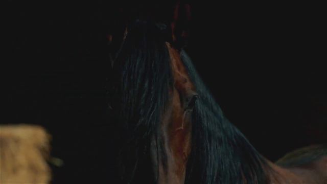 Буду рада получить от Вас обратную связь!) смотреть онлайн