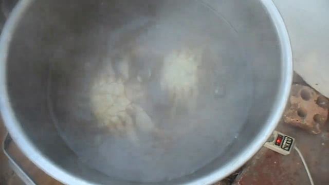 Крабы / Как ловить крабов / Как готовить крабов смотреть онлайн