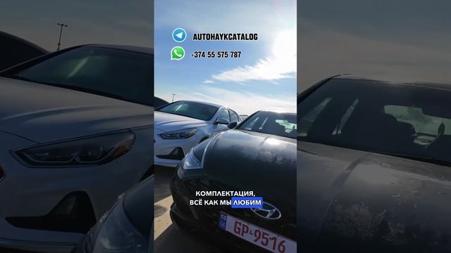 Hyundai Sonata Limited ￼2019г авто из Грузии в Россию цена 29 января 2023 г! #автоизгрузии #autohay смотреть онлайн