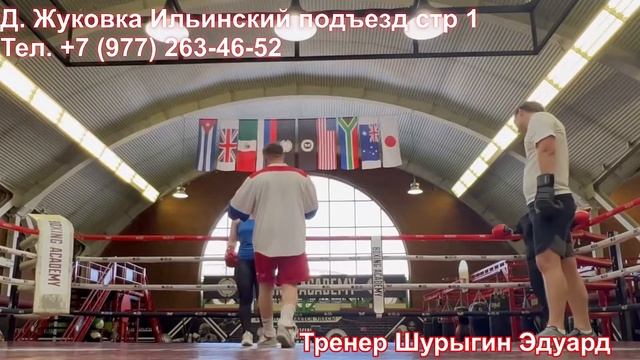 Академия бокса смотреть онлайн