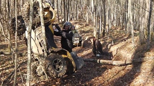 Квадрик на дереве смотреть онлайн