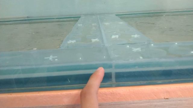 9 часть. Аквариум готов смотреть онлайн