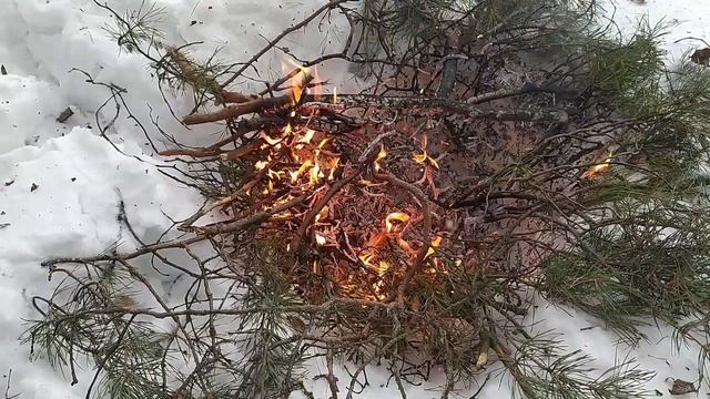 STELS КАПИТАН И ЕВГЕШИНЫ ЗАМОРОЧКИ??? смотреть онлайн