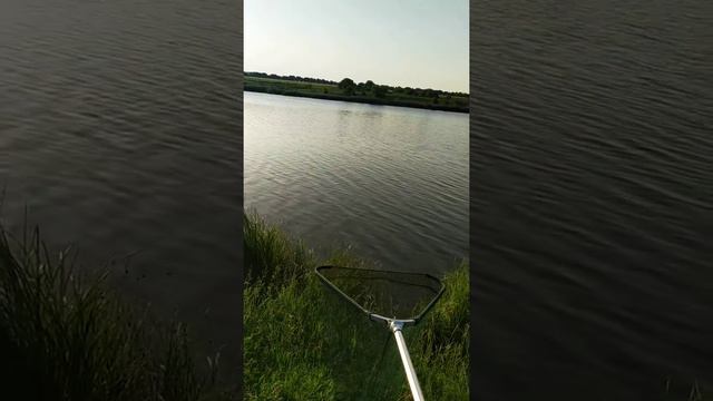 Рыбалка на карпа.Верхний Токмак Запорожская обл 29.05.2019 часть 1 смотреть онлайн