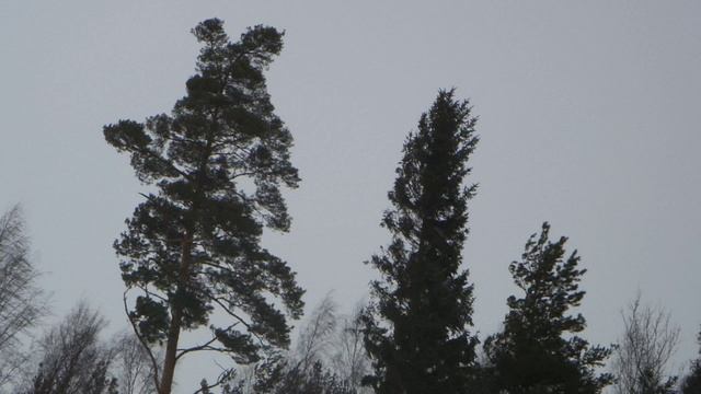 M4H03900.ДнюхаИвана смотреть онлайн