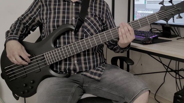 Avatar- On the Beach [Bass Cover] смотреть онлайн