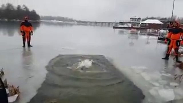 Липецкие моржи смотреть онлайн