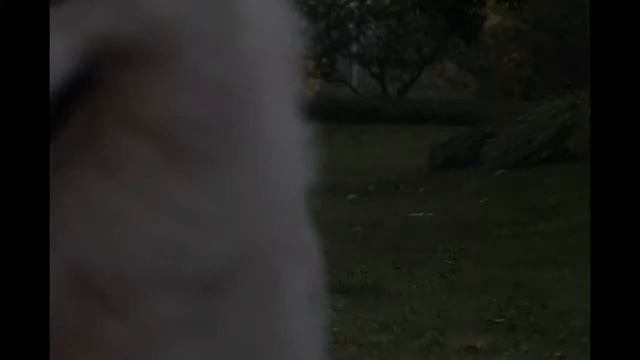 Сравнение автофокуса Sony A5000 и Sony A6000 | онлайн-гипермаркет 21 Vek