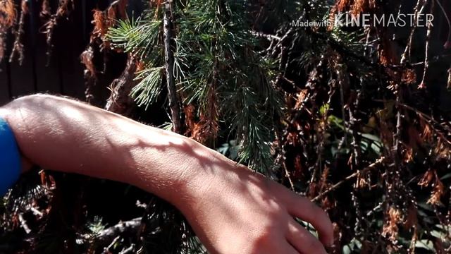 Одно мгновение |замедленное видео| Серёжа и Вадик| смотреть онлайн