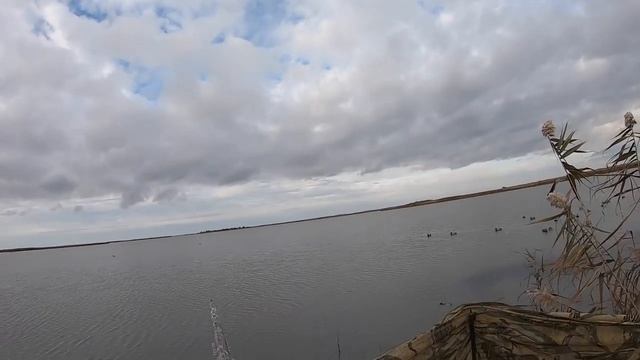 ОХОТА НА УТКУ. НА ЖИРНУЮ СЕВЕРНУЮ УТКУ... смотреть онлайн