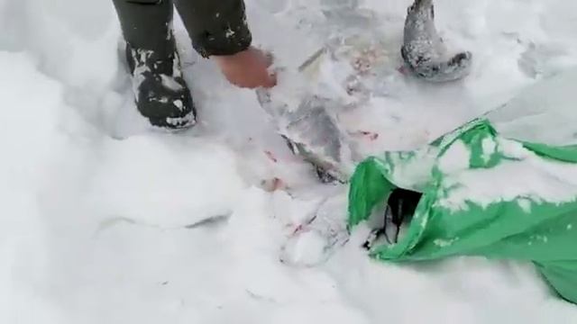 Берег " Место клёва " . смотреть онлайн