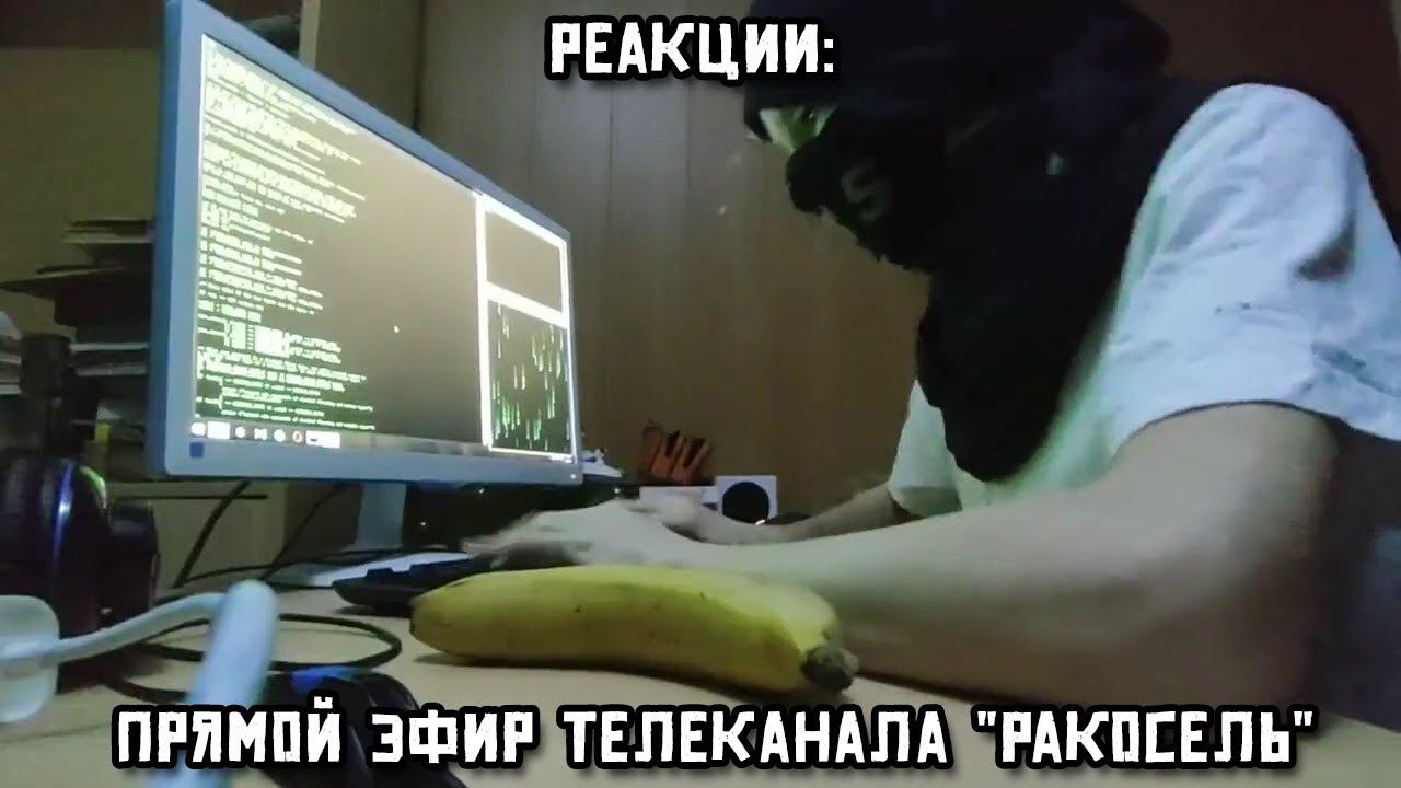 РЕАКЦИИ: Прямой эфир телеканала "Ракосель" смотреть онлайн