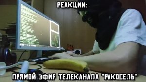 РЕАКЦИИ: Прямой эфир телеканала «Ракосель»