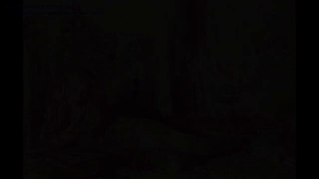 Александрина Цуркан (Alexandrina Turcan)