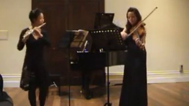 Hoffmeister: Duo Concertante in G major for flute & viola, 2- Andante смотреть онлайн