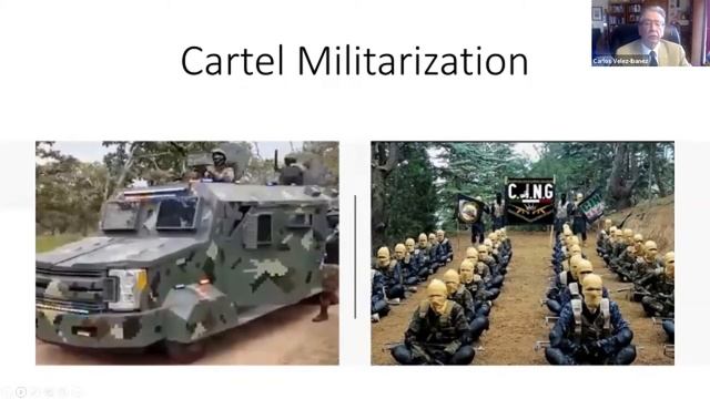 RAI Webinar: Carlos Vélez-Ibáñez смотреть онлайн