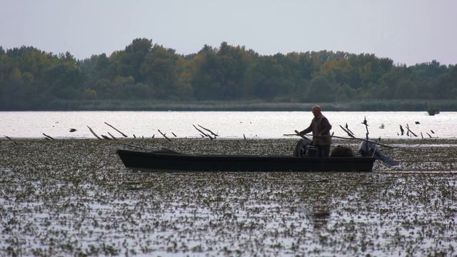 Döme Gábor - 4 évszak Horgászbottal A Tisza-tavon - ŐSZ