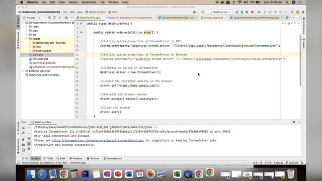 Browser Launch Without Driver Manager смотреть онлайн