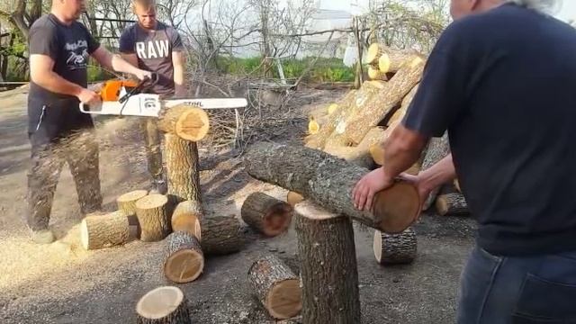 Drujba Stihl ms 880. 8,7Cp,121,6cc смотреть онлайн