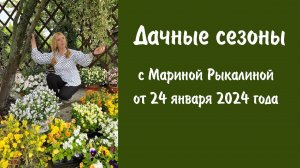 Дачные сезоны с Мариной Рыкалиной от 24 января 2024 года