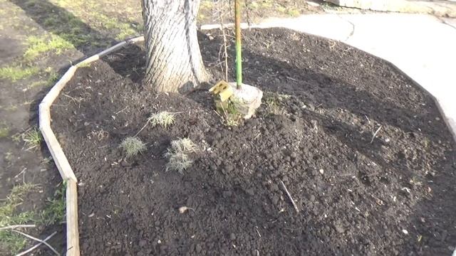 Украина Кропивницкий, немного позитива, всех женщин с 8 марта смотреть онлайн