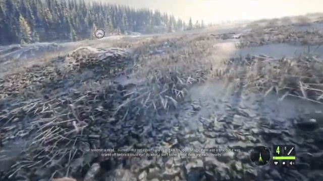 theHunter: Call of the Wild | Medved Taiga Missions: "The Lost And Found" смотреть онлайн