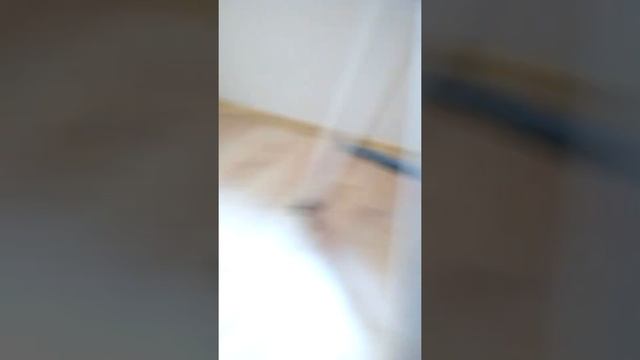 Своими руками у себя в доме смотреть онлайн