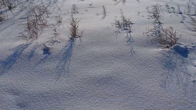 Я ЦЕЛЫЙ МЕСЯЦ ЭТОГО ЖДАЛА!!!??ВНУЧА В ГОСТЯХ!?КОМПЛЕКТ ГОТОВ!? смотреть онлайн