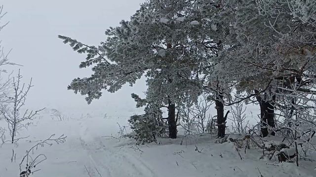 Relaxing Piano Chill Music / Расслабляющая музыка пианино