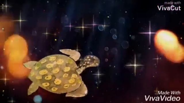 морская черепаха анимация смотреть онлайн