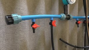 Капельный полив для деревьев своими руками