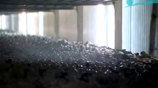 Шинпин смотреть онлайн