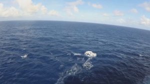 Обзор круизного лайнера Costa Mediterranea