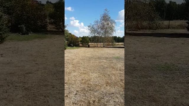 Jbl partybox 100 - Range test, bass test 100% volume - Sub Urban - Cradles смотреть онлайн