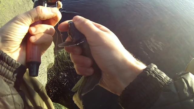 Куча бычков за пару часов.Зимняя рыбалка на море смотреть онлайн