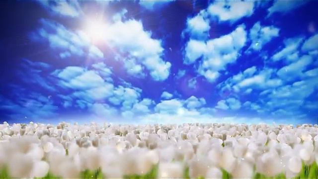 Любимые мелодии смотреть онлайн