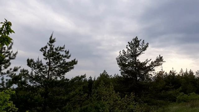 Сила Крови Жениха смотреть онлайн